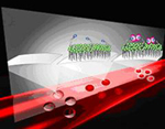 Nanobiosensori