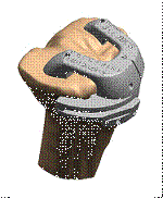 clip_image002