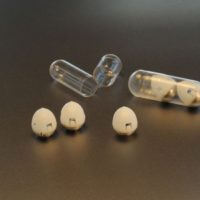 Una nuova pillola può somministrare le corrette dosi di insulina
