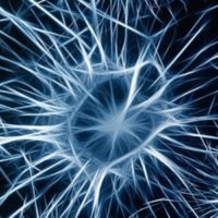 Un neurone artificiale quantistico grazie ai fotoni