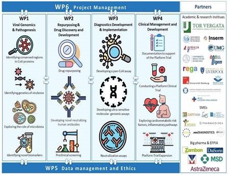 WP6