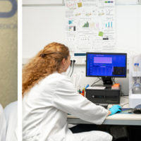 “Nevermind”: nanovettori per migliorare le terapie di patologie neurologiche