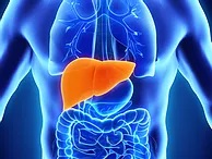 Tumore del fegato: una bassa concentrazione di colesterolo HDL in pazienti con fegato grasso può predire la diagnosi con largo anticipo
