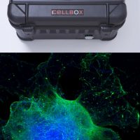 UPM Biomedicals e Cellbox Solutions collaborano per fornire una soluzione di spedizione di cellule vive