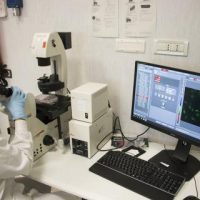 Medicina rigenerativa: dall’incontro tra bioingegneria, robotica e biologia cellulare nuove possibilità per l’utilizzo di cellule staminali  pluripotenti indotte in muscolo scheletrico