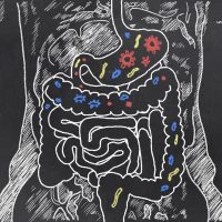 La salute passa dall’intestino: le nuove frontiere della ricerca sul microbiota