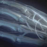 Stratasys annuncia il materiale radiopaco per la stampante 3D Digital Anatomy