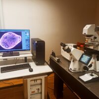 Inaugurato il nuovo microscopio dell’Istituto Veneto di Medicina Molecolare