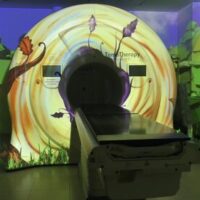 “Il mondo fantastico: a spasso con Tommy”: un ambiente multimediale tridimensionale popolato da personaggi fantastici per i pazienti pediatrici della Radioterapia di Modena